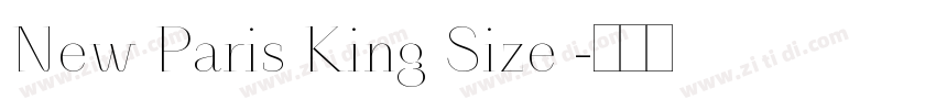 New Paris King Size 字体转换
